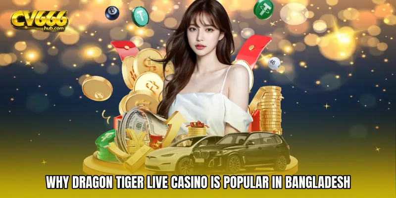 Why Dragon Tiger Live Casino Is Popular in Bangladesh